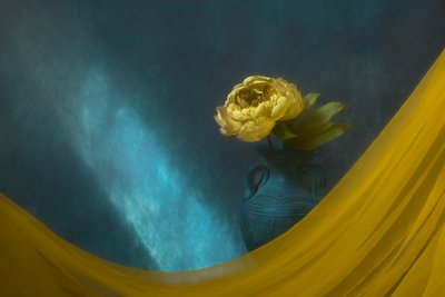  door Lydia Jacobs