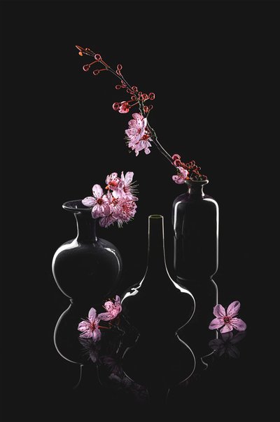Elegante bloemenvazen door Lydia Jacobs