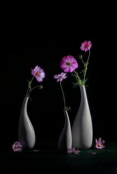 Elegant stilleven met cosmosbloemen door Lydia Jacobs