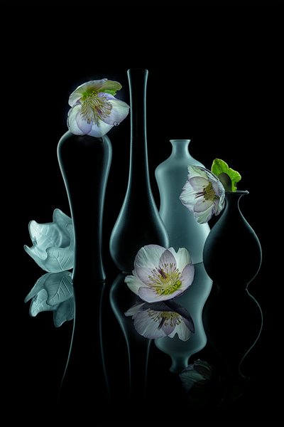 Elegante bloemengloed door Lydia Jacobs