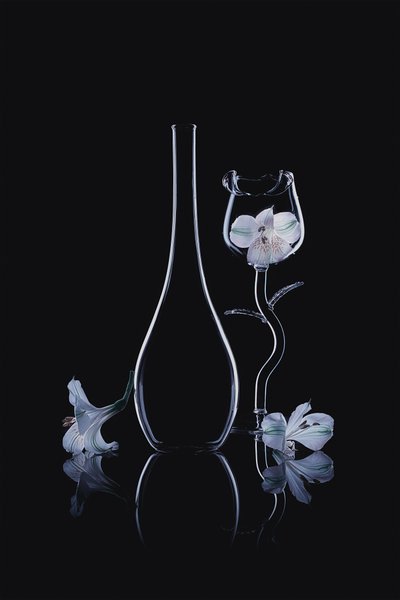 Elegante glazen orchideeën door Lydia Jacobs