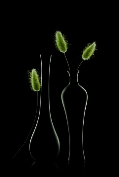 Elegant groen stilleven door Lydia Jacobs