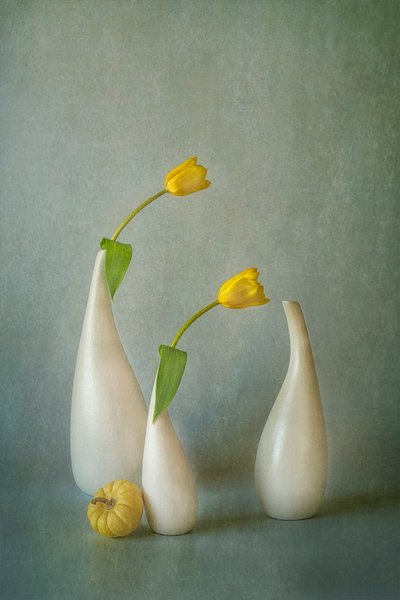Stilleven met elegante gele tulpen door Lydia Jacobs