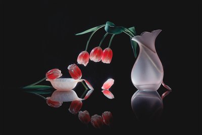 Weerspiegeling van gloeiende tulpen door Lydia Jacobs