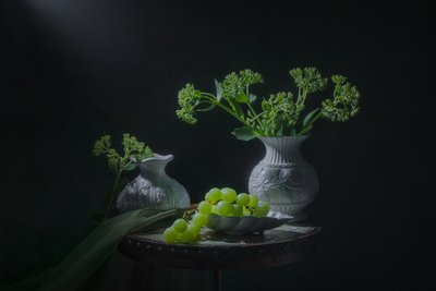 Stilleven met groene druiven door Lydia Jacobs