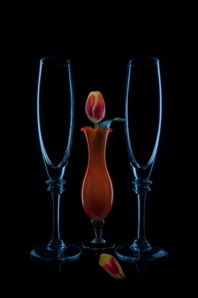Intieme tulpenfluitjes door Lydia Jacobs