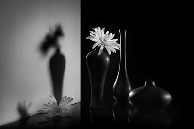 Monochroom met twee bloemmotieven door Lydia Jacobs