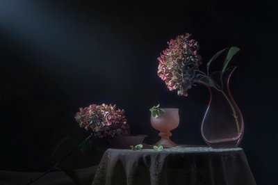Stilleven met Moody-hortensia’s door Lydia Jacobs
