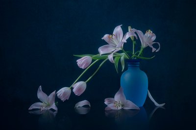 Stemmige lelies en tulpen door Lydia Jacobs
