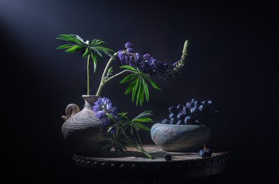 Stemmige lupines en bessen door Lydia Jacobs