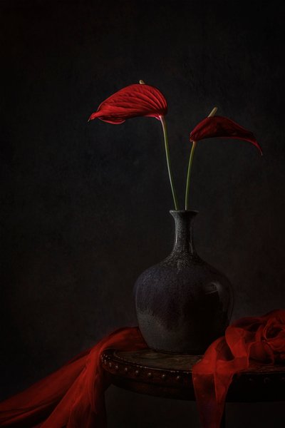 Moody Red Anthuriums door Lydia Jacobs