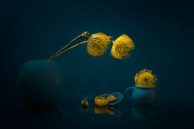 Stemmige gele bloemen door Lydia Jacobs
