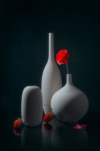 Rode papaver en witte vazen door Lydia Jacobs