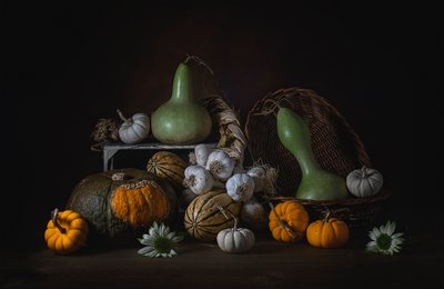  door Lydia Jacobs