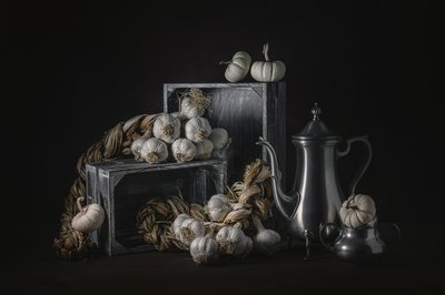  door Lydia Jacobs