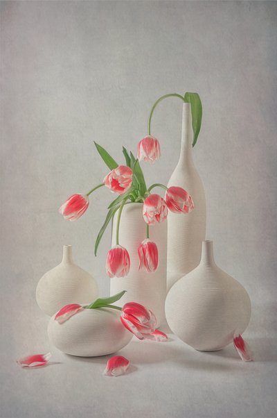Zachtroze tulpen door Lydia Jacobs