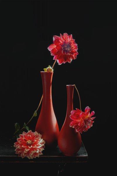 Levendig stilleven met dahlia’s door Lydia Jacobs