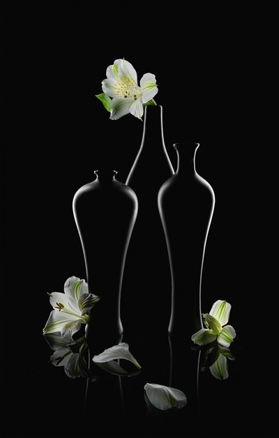 Witte bloemen, donkere vazen door Lydia Jacobs