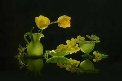 Gele tulpen, groene druiven door Lydia Jacobs