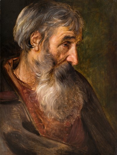 Het hoofd van een oude bebaarde man door Maerten Vos de