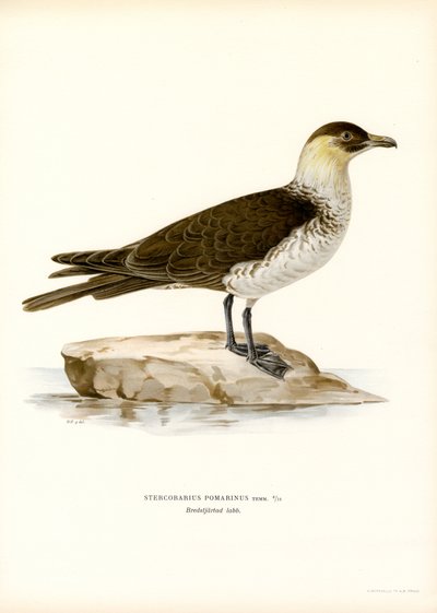 Middelste Jager door Magnus Ferdinand and Wilhelm von Wright