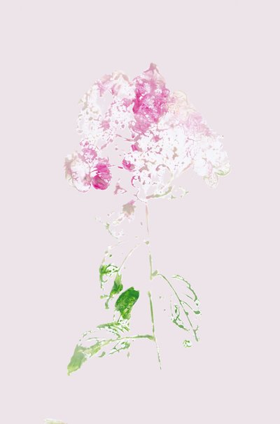 Abstract Roze Bloesem door Maira Ribena