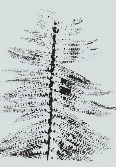 Black Ink Fern door Maira Ribena