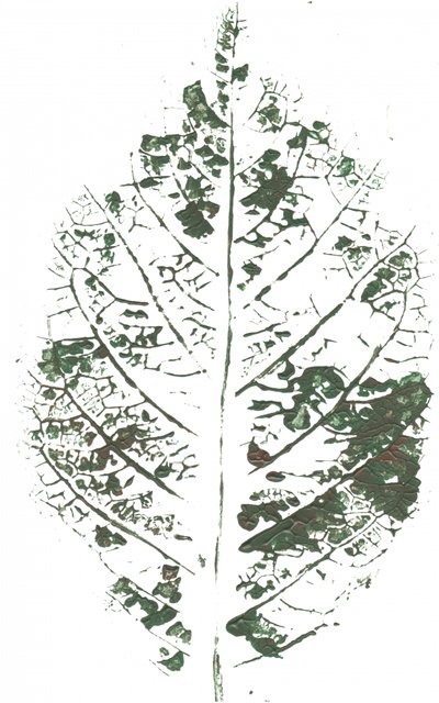 Botanische bladprint door Maira Ribena
