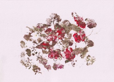 Aardse bloemenimpressies door Maira Ribena