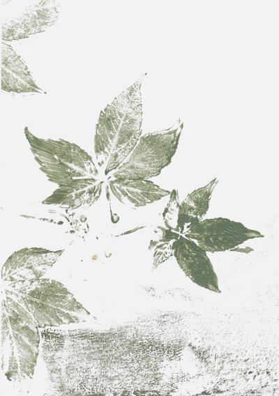 Green Leaf Impressions door Maira Ribena
