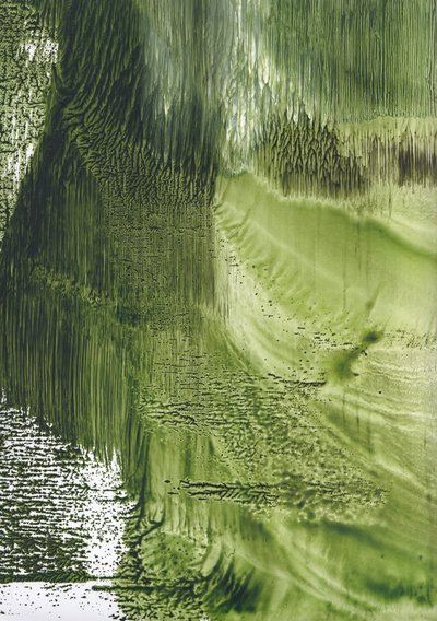 Biologische Groene Stroom door Maira Ribena