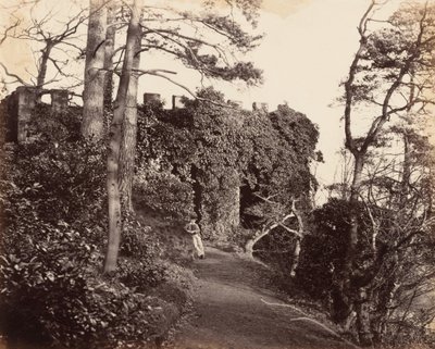 Bij Winterdyne aan de Severn,1860 (foto) door Major Francis Gresley