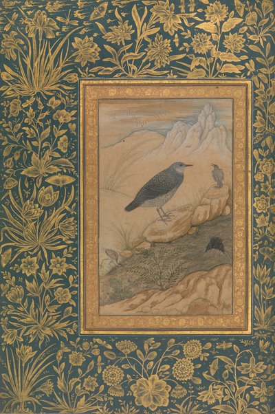 Duikende Dipper en Andere Vogels, Folio uit het Shah Jahan Album door Mansur