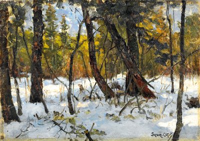 Bos in de winter door Marc Aurele de Roy Suzor Cote