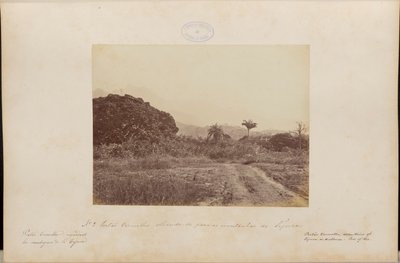Rode Poort kijkt uit over het Tijuca-gebergte door Marc Ferrez
