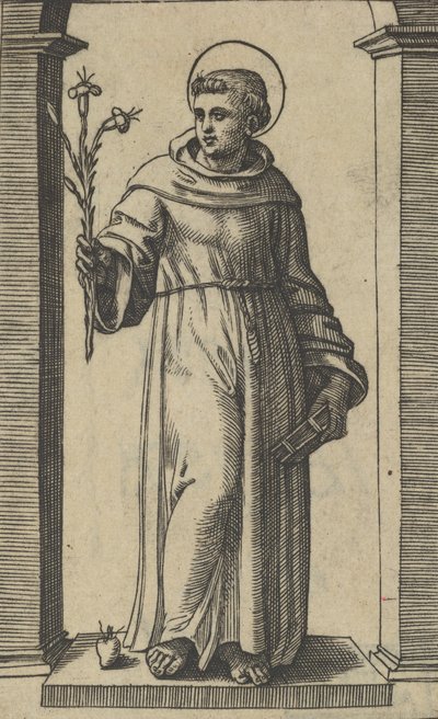 Sint-Antonius van Padua staand, lelies in zijn opgeheven rechterhand, een boek in zijn hand, ca. 1500-1527 door Marcantonio Raimondi