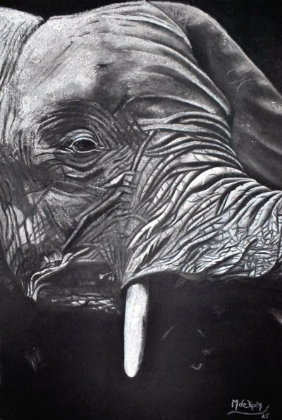  door Marchelle de Kock