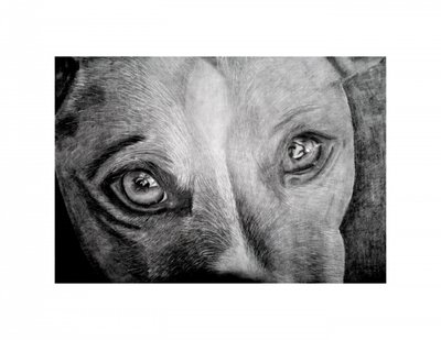  door Marchelle de Kock