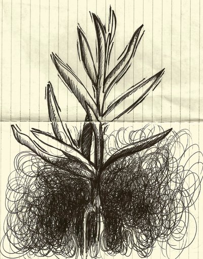 Plant, 2014 (inkt op papier) door Marco Campedelli
