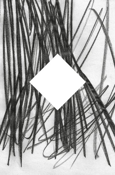 Zonder titel, 2014 (grafiet op papier) door Marco Campedelli
