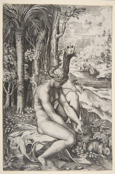 Venus die een Doorn uit haar Linkervoet Verwijdert terwijl ze op een Doek naast Bomen Zit, ca. 1515-27 door Marco Dente