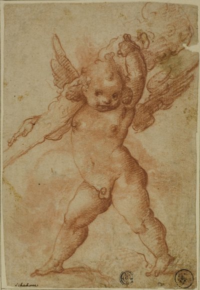 Putto met Knots van Hercules door Marco Marchetti
