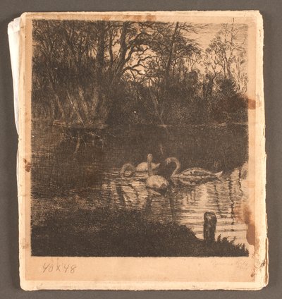 Motief met zwanen. Frederiksberg tuin door Marcus Bech Fritz