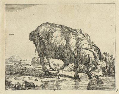 Drinkende bok door Marcus de Bye