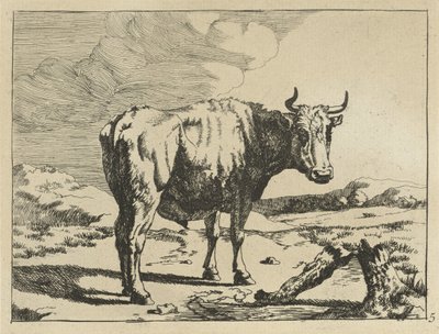 Stier staand bij boomstronk door Marcus de Bye