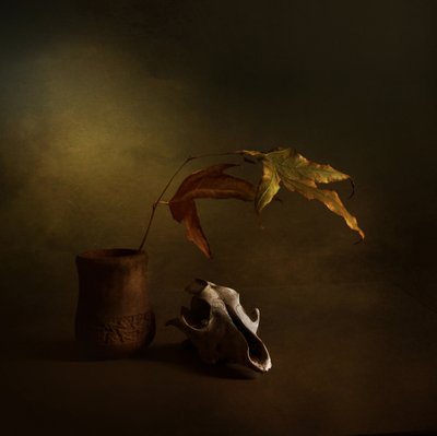 Donker herfststilleven door Margaret Halaby