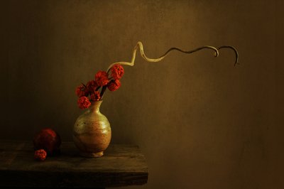  door Margaret Halaby