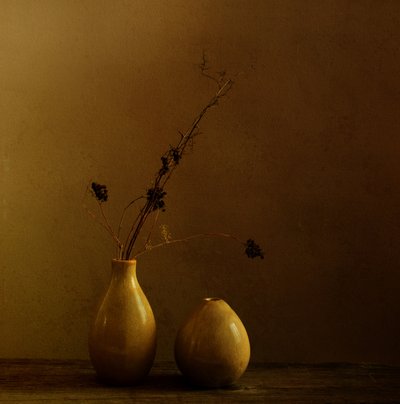Aardse vazen met gedroogde takken door Margaret Halaby