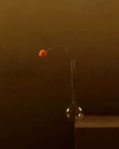 Minimalistische oranje bloem door Margaret Halaby