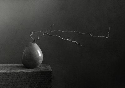 Monochrome peer en tak door Margaret Halaby